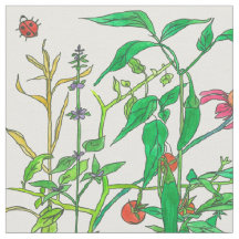 Borboletas de legumes de jardim Ladybug