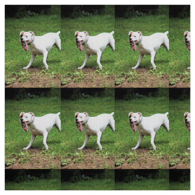 Tecido Boxer (Modelo)