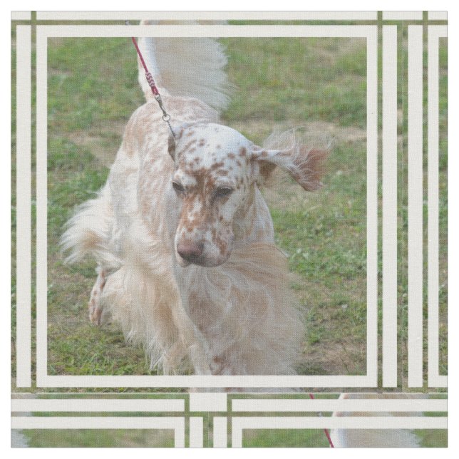 Tecido Brown e setter inglês branco (Detalhe)