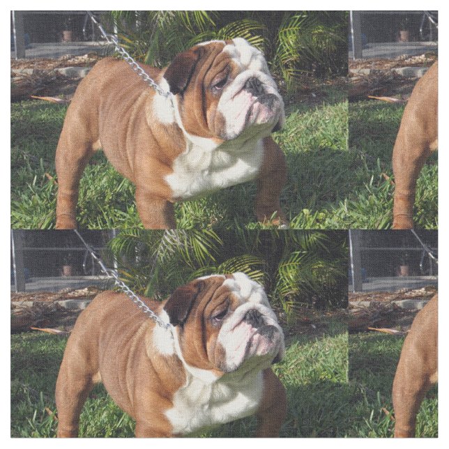 Tecido buldogue full.png (Detalhe)