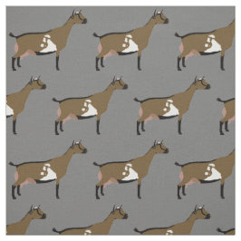 Tecido Cabra leiteira nigeriana