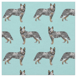 Tecido cachorro-do-mato-azul-australiano