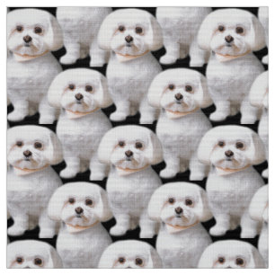 Tecido Cachorro Maltês