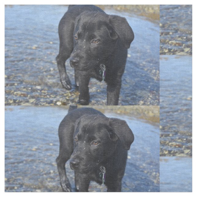 Tecido Cachorro Preto Adorável (Detalhe)