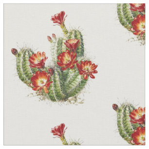 Tecido Cactus Com Flores Vermelhas