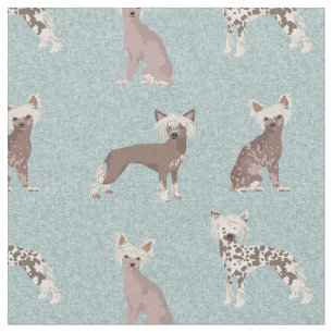 Tecido Cães Crestes Chineses azul claro