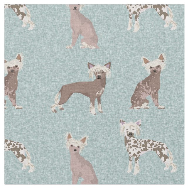 Tecido Cães Crestes Chineses azul claro (Detalhe)