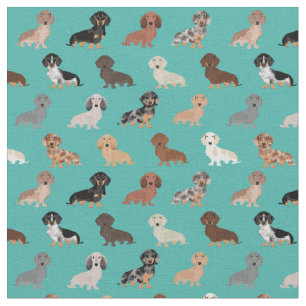 Tecido Cães Dachshund