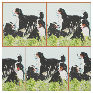 Tecido Cães De Montanha Berneses Na Grama