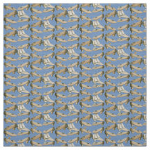 Calçados do século XIX