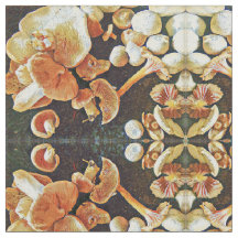 Caleidoscópio comestível dos cogumelos