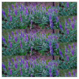 Tecido Campos do Lupine