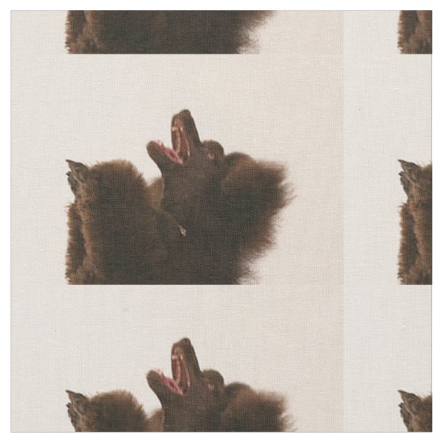 Tecido caniche preta dancing.png (Detalhe)