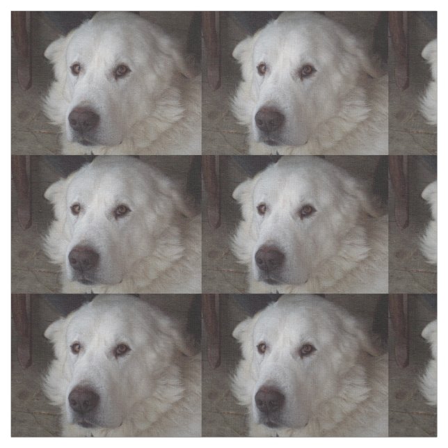 Tecido Cão bonito de grandes Pyrenees (Modelo)