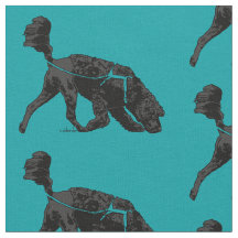 Cão de Água Português - Pista/Cento Turquês 3X4