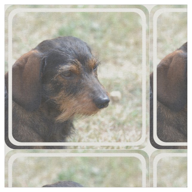 Tecido Cão de cabelo de Daschund do fio (Detalhe)