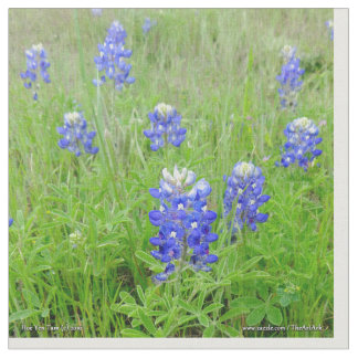 Tecido - capotas azuis