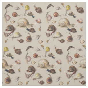 Tecido Caracóis de Gastropodo de Pet de Slug de Jardim da