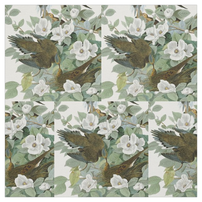 Tecido Carolina Pigeon Audubon Morning Dove (Modelo)