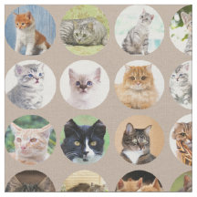 Tecido Cats Clever