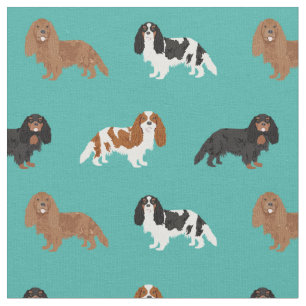 Tecido Cavaleiro Rei Charles Spaniel turquoise