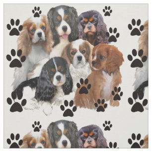 Tecido Cavalier Spaniel
