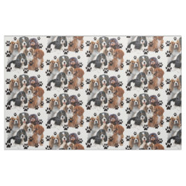 Tecido Cavalier Spaniel Colors
