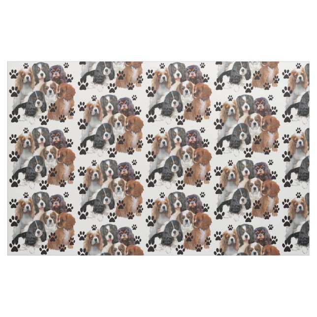 Tecido Cavalier Spaniel Colors (Fat Quarter)