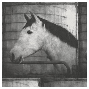 Tecido Cavalo Andaluz