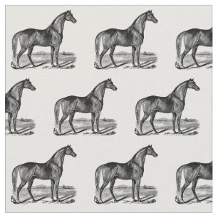 Tecido Cavalo Antigo em Pé