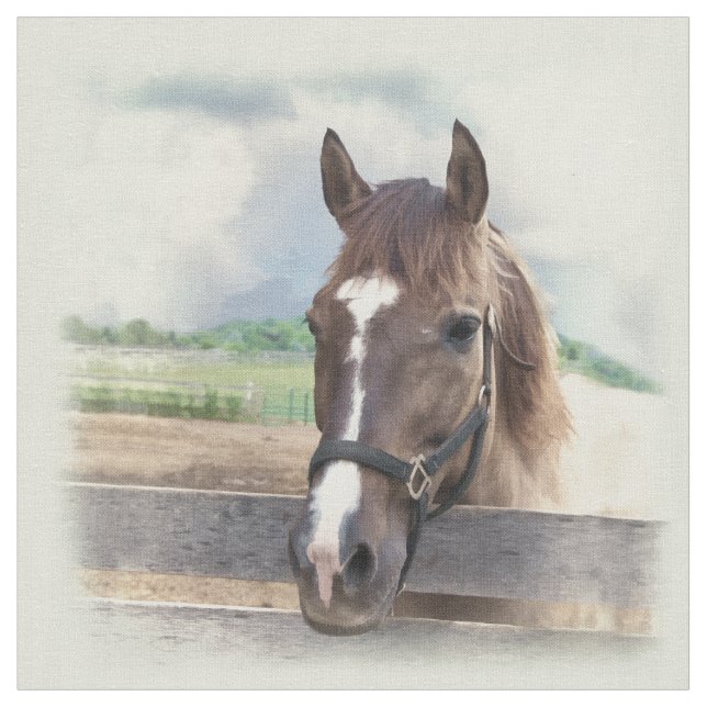 Tecido Cavalo de Brown com cabeçada (Detalhe)