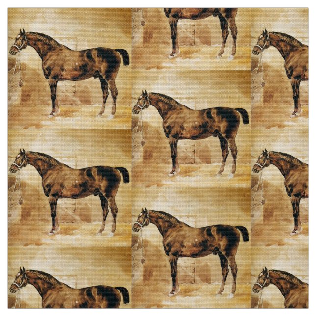 TECIDO CAVALO INGLÊS EM ESTÁVEL (Modelo)