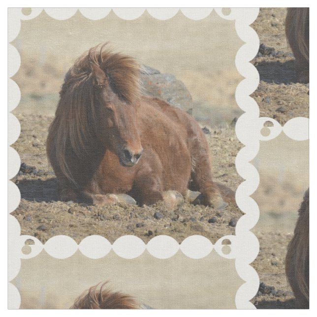 Tecido Cavalo islandês (Detalhe)
