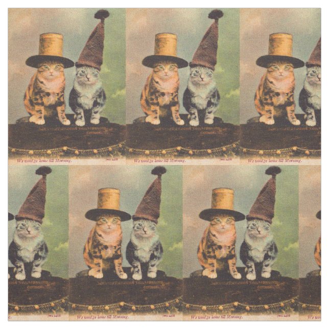 Tecido cerca de 1900 gatos em chapéus RPPC (Modelo)