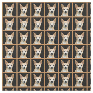 Tecido Chihuahua pintada bege no fundo preto