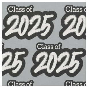 Tecido Cinza de prata Classe de pincel de 2025