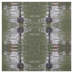 Tecido Cisne Negro