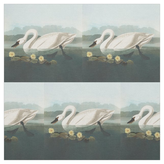 Tecido cisnes brancas de pássaro de audubon do cisne (Modelo)