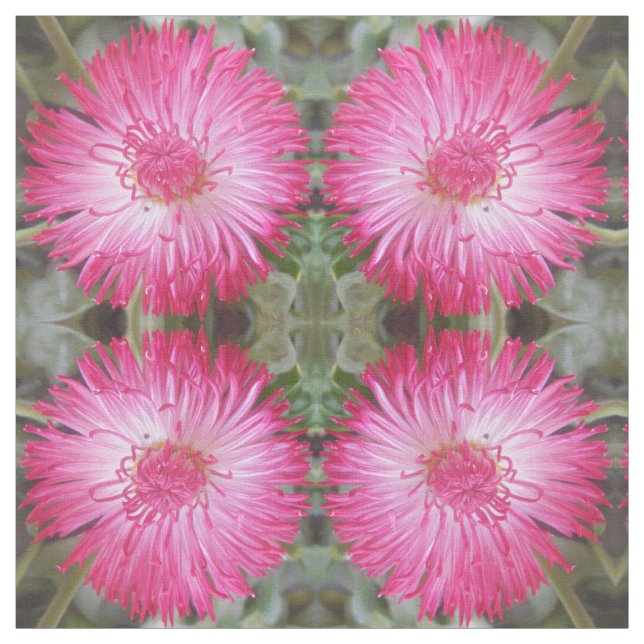 Tecido Cogniet (Modelo)