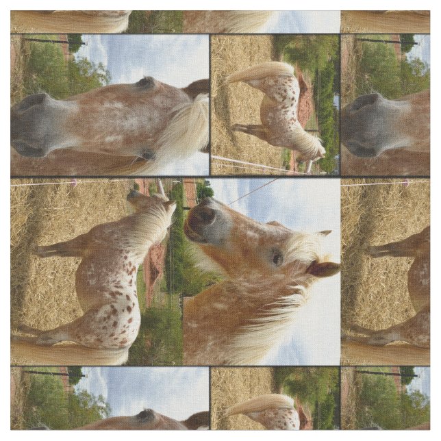 Tecido Colagem de Fotografias de Cavalos Appaloosa, (Detalhe)