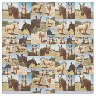 Tecido Colagem de Fotos de Cavalos de Palomino,   