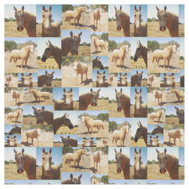 Tecido Colagem de Fotos de Cavalos de Palomino, (Detalhe)