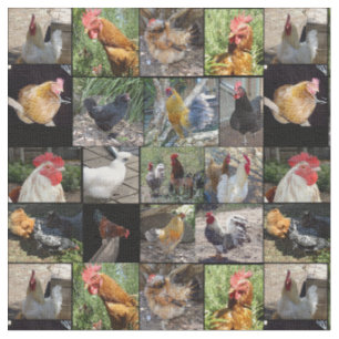 Tecido Colagem De Fotos De Galinhas E Galos,