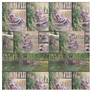Tecido Colagem Fotográfica de Hippo Determinação,