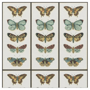 Tecido Coleção de Borboletas por Chariklia Zarris