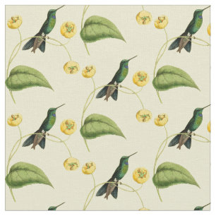 Tecido Colibri brilhante coroado verde do vintage