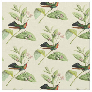 Tecido Colibri Throated impetuoso do vintage