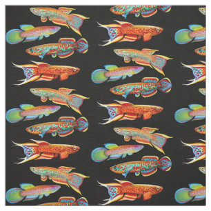 Tecido colorido do Killifish do aquário