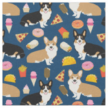 comida de milho e de corgi tricolor