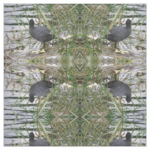 Tecido Coot sobre o Tecido-padrão do Riverbank